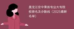 黑龙江空中乘务专业大专院校排名及分数线（2025最新名单）