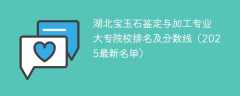 湖北宝玉石鉴定与加工专业大专院校排名及分数线（2025最新名单）