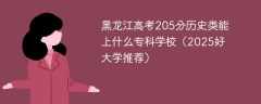 黑龙江高考205分历史类能上什么专科学校（2025好大学推荐）