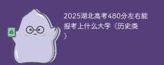 2025湖北高考480分左右能报考上什么大学（历史类）