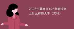 2025宁夏高考495分能报考上什么样的大学（文科）