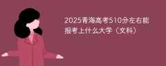 2025青海高考510分左右能报考上什么大学（文科）