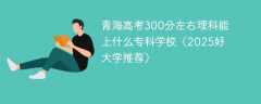 青海高考300分左右理科能上什么专科学校（2025好大学推荐）