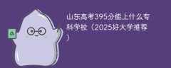 山东高考395分能上什么专科学校（2025好大学推荐）