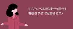 山东2025高职院校专项计划有哪些学校（附高校名单）