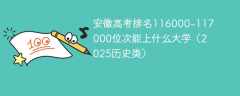 安徽高考排名116000-117000位次能上什么大学（2025历史类）