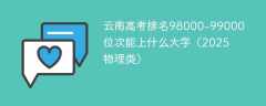 云南高考排名98000-99000位次能上什么大学（2025物理类）
