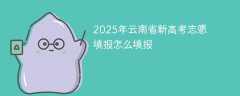 2025年云南省新高考志愿填报怎么填（具体填报流程和技巧）