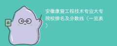 安徽康复工程技术专业大专院校排名及分数线（一览表）
