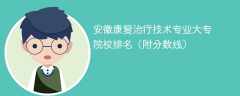 安徽康复治疗技术专业大专院校排名（附分数线）