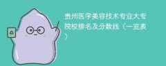 贵州医学美容技术专业大专院校排名及分数线（一览表）