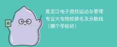 黑龙江电子竞技运动与管理专业大专院校排名及分数线（哪个学校好）