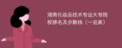 湖南化妆品技术专业大专院校排名及分数线（一览表）