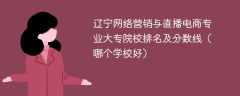 辽宁网络营销与直播电商专业大专院校排名及分数线（哪个学校好）