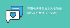 青海电子商务专业大专院校排名及分数线（一览表）
