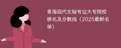 青海现代文秘专业大专院校排名及分数线（2025最新名单）