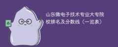 山东微电子技术专业大专院校排名及分数线（一览表）