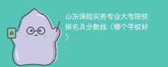 山东保险实务专业大专院校排名及分数线（哪个学校好）