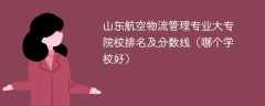 山东航空物流管理专业大专院校排名及分数线（哪个学校好）
