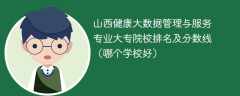 山西健康大数据管理与服务专业大专院校排名及分数线（哪个学校好）