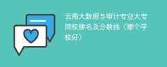 云南大数据与审计专业大专院校排名及分数线（哪个学校好）