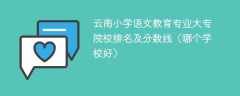 云南小学语文教育专业大专院校排名及分数线（哪个学校好）