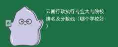 云南行政执行专业大专院校排名及分数线（哪个学校好）