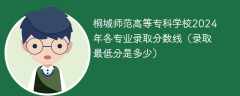 桐城师范高等专科学校2024年各专业录取分数线（录取最低分是多少）