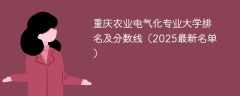 重庆农业电气化专业大学排名及分数线（2025最新名单）