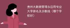 贵州大数据管理与应用专业大学排名及分数线（哪个学校好）