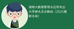 湖南大数据管理与应用专业大学排名及分数线（2025最新名单）