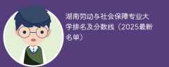 湖南劳动与社会保障专业大学排名及分数线（2025最新名单）