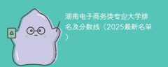 湖南电子商务类专业大学排名及分数线（2025最新名单）