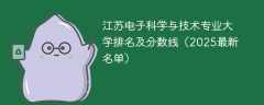 江苏电子科学与技术专业大学排名及分数线（2025最新名单）