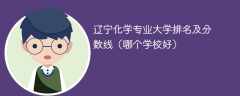 辽宁化学专业大学排名及分数线（哪个学校好）