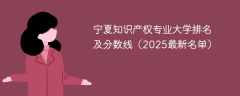 宁夏知识产权专业大学排名及分数线（2025最新名单）