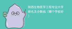 陕西生物医学工程专业大学排名及分数线（哪个学校好）