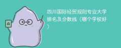 四川国际经贸规则专业大学排名及分数线（哪个学校好）