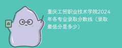 重庆工贸职业技术学院2024年各专业录取分数线（录取最低分是多少）