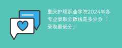 重庆护理职业学院2024年各专业录取分数线是多少分「录取最低分」