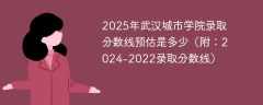 2025年武汉城市学院录取分数线预估是多少（附：2024-2022录取分数线）
