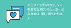 哈尔滨工业大学(深圳)在安徽各专业2025招生人数、录取分数线（附：招生计划表）