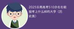 2025云南高考510分左右能报考上什么样的大学（历史类）