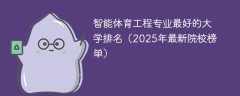智能体育工程专业最好的大学排名（2025年最新院校榜单）