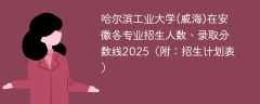 哈尔滨工业大学(威海)在安徽各专业招生人数、录取分数线2025（附：招生计划表）
