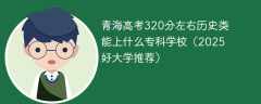 青海高考320分左右历史类能上什么专科学校（2025好大学推荐）