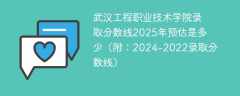武汉工程职业技术学院录取分数线2025年预估是多少（附：2024-2022录取分数线）
