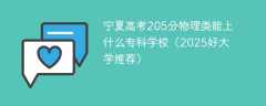 宁夏高考205分物理类能上什么专科学校（2025好大学推荐）