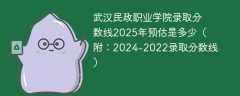 武汉民政职业学院录取分数线2025年预估是多少（附：2024-2022录取分数线）