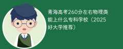 青海高考260分左右物理类能上什么专科学校（2025好大学推荐）